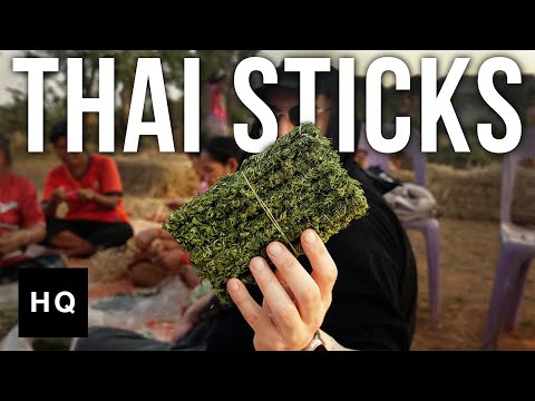 Hunting for Thai Sticks in Thailand