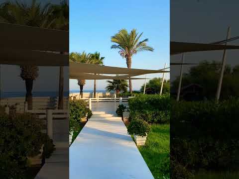 Another day in cyprus |🇨🇾#cyprus #shortsvideo #beach