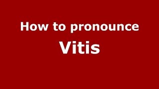 How to pronounce Vitis