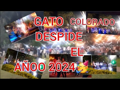 😱Unico en la Historia (GATO COLORADO ) en otro nivel🙌🥳