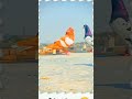 Kabutar Kabootar Pigeon Birds Pigeon Kabootar Shorts Short Youtubeshorts