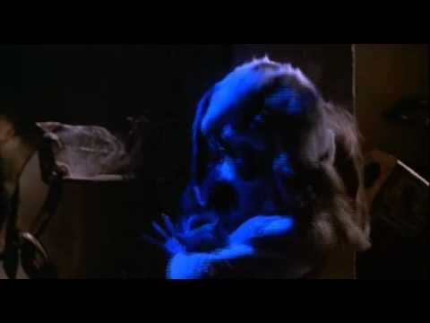 Dario Argento's Inferno [Cats attack scene]