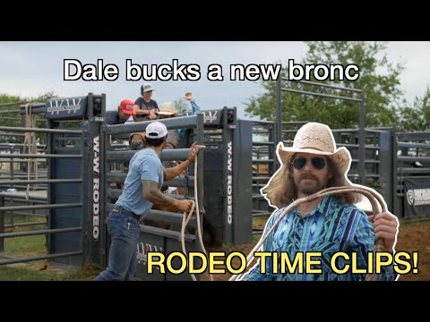 Dale bucks a new bronc