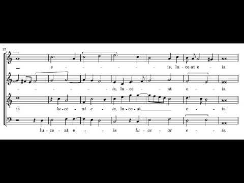 Victoria: Requiem 4vv - III. Graduale - Plus Ultra