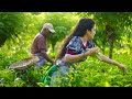 Ceylon Tea Recipe Homemade Tea World Famous Sri Lankan Secret Poorna The Nature Girl