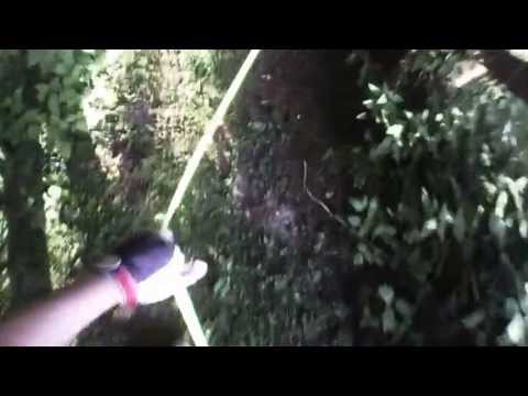 10 07 2013 Vasco 1 1