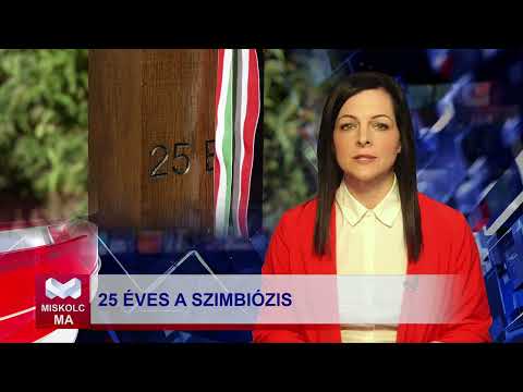 Videó előnézet