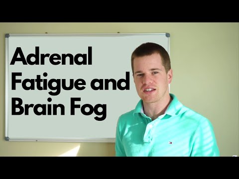 Adrenal Fatigue and Brain Fog