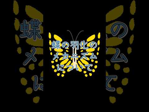 コリアス・パラエノ