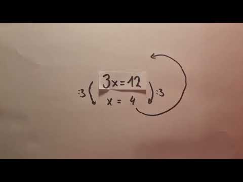 Grundlagen der Algebra