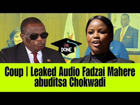 Fadzai Mahere speaking at a press conference in Harare