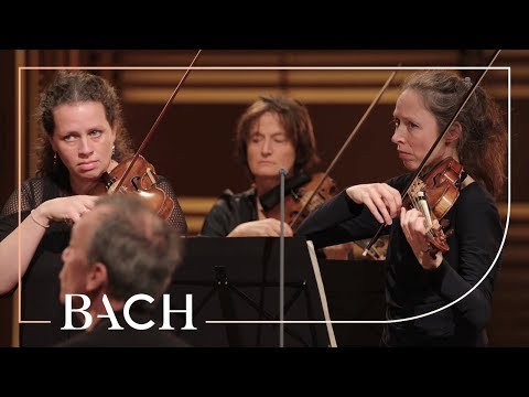 Bach - Orchestral Suite no. 3 in D major BWV 1068 - Mortensen | Netherlands Bach Society