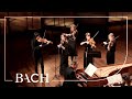 Bach - Orchestral Suite no. 3 in D major BWV 1068 - Mortensen | Netherlands Bach Society