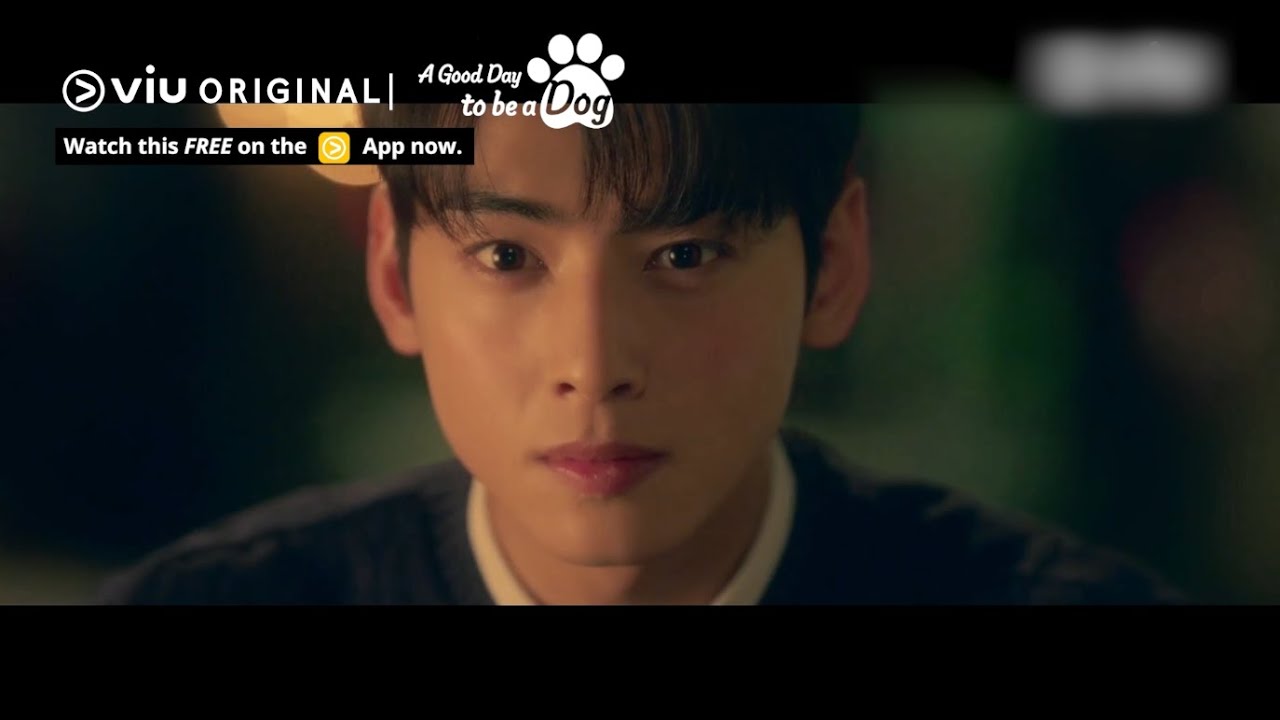 Will Cha Eun Woo Kiss the Dog Version of Park Gyu Young? [ENG SUB]