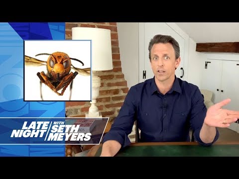 Not Now, Murder Hornets
