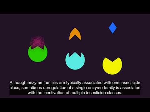 Resistance101 - Cross resistance (French)