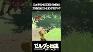 15秒で笑える 立場が逆転した初心者リンクｗｗ【ゼルダの伝説 ブレス オブ ザ ワイルド】