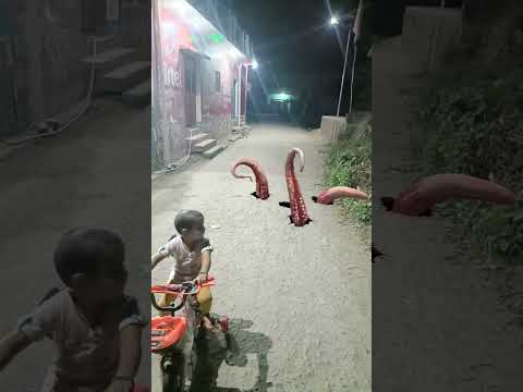 Part 995 Wolf in village #wolfsounds #relaxinwolf #wolfsong #wildlife #wolf #forest #nature #shorts