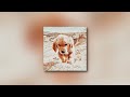 Imagine Dragons Gold Speed Up Nightcore