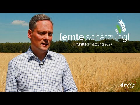 Regen verhindert bislang Missernte – Fünfte DRV-Ernteschätzung 2023