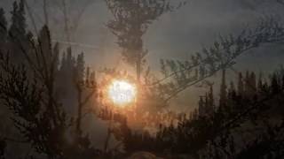 &quot;Memento-Mori,&quot; by Rat