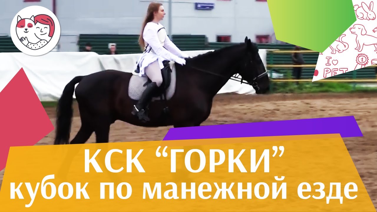 Летний кубок КСК Горки по манежной езде КЮР часть 23 на ilikepet