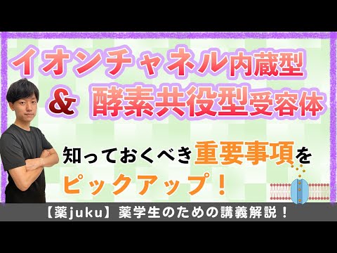 Nuvola アプリの教育言語.svg