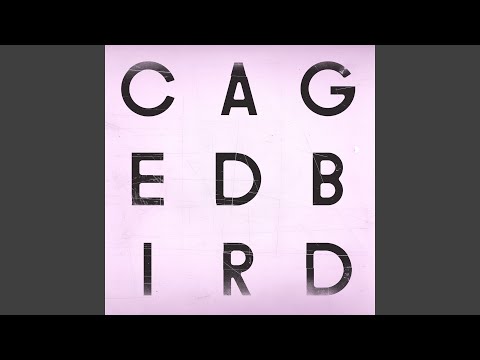 A Caged Bird/Imitations of Life (Instrumental)