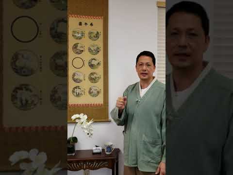 Ten Ox Herding Pictures of Enlightenment