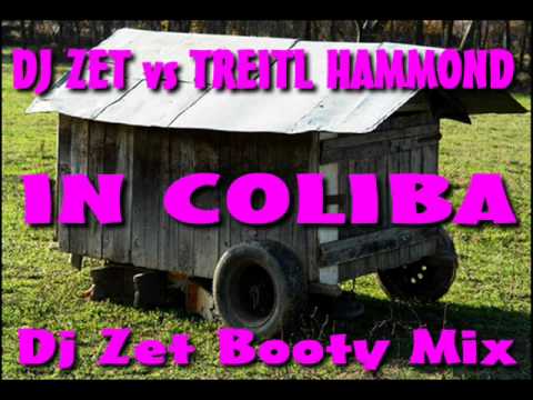 DJ Zet vs Treitl Hammond - In Coliba (Dj Zet Booty Mix)
