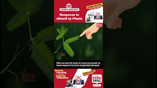 Response to stimuli by Plants | Learn Biology with Home Revise