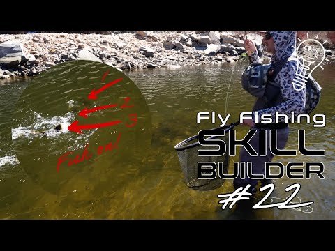 Swinging Wet Flies with Lance Egan! | Fly Fishing Skill Builder #22