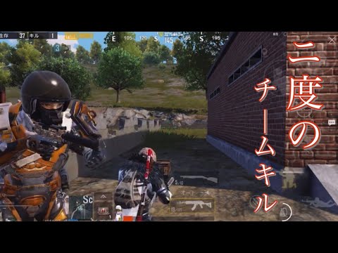 Descargar Pubg Mobile 配信中に2度のチームキルされました