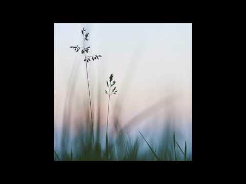 69. cxld blxxd - nothing I am, nothing I dream [23.02.2020]