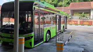 77 BYD debut