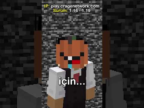 I Tested the PRO Player on My Minecraft Server!