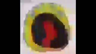 Crying emoji meme