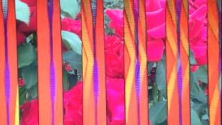 🌹 demo taped  / not enough