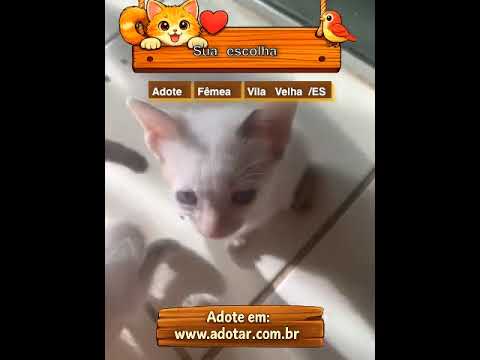 Vídeo de Sua escolha 