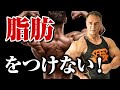 【筋トレ】余計な脂肪をつけずに筋肉だけを大きくしていく方法がこれです。【完全版】