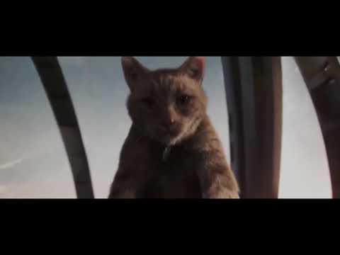 Goose scratches Fury’s eye | Captain Marvel