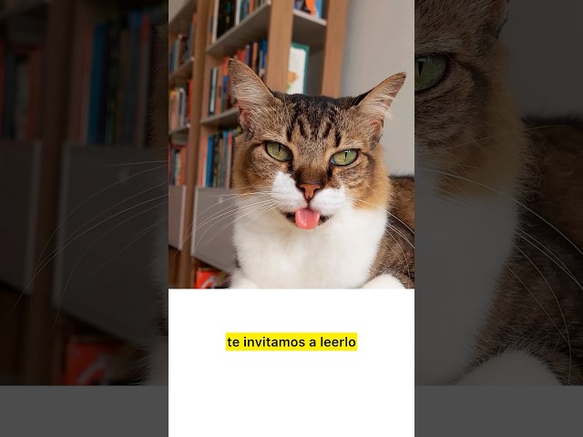 Vídeo relacionado con Entender a nuestro perro (Animales de Compañía)