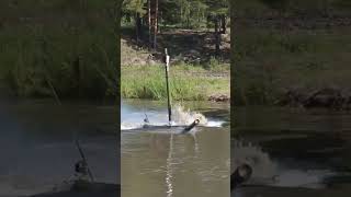 Download lagu T-72 Under water swim #shors #t72tank #viral #tank #trending #tiktok #trendingshorts mp3