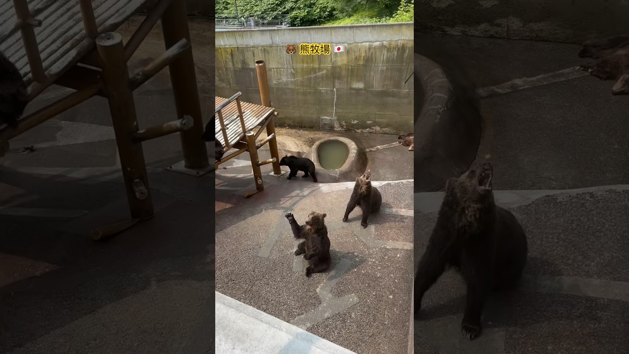 YouTube Short thumbnail