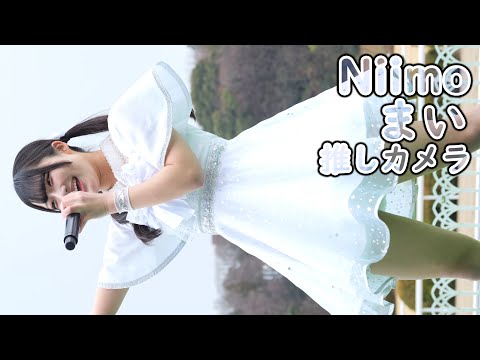 動画のタイトルなど