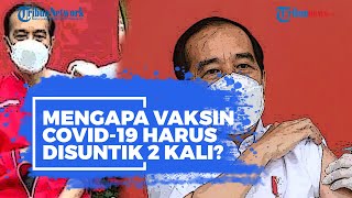 Mengapa Vaksin Covid-19 Harus Disuntik 2 Kali?