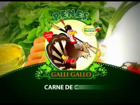 Penes Curcanul - Galli Gallo - Carne de Curcan - Reclama TV - 1