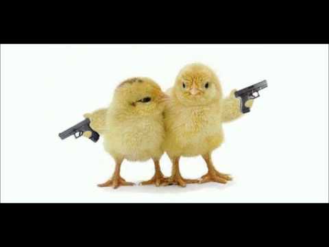 THE VINYLRAIDER - PURE FUCKING FARM TERROR