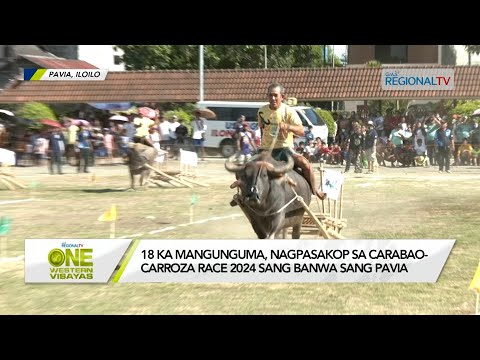 One Western Visayas: 18 ka mangunguma, nagpasakop sa Carabao-Carroza Race 2024 sang banwa sang Pavia