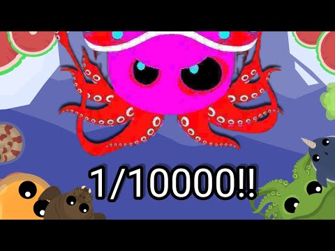 Roams.io | The Grong 🦑🔥